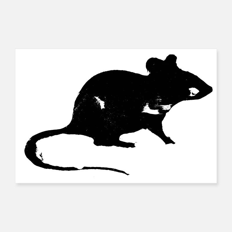 Ratte Poster 30x20 cm