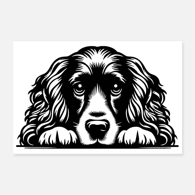 Cocker Spaniel Kopf mit Pfoten Poster 30x20 cm
