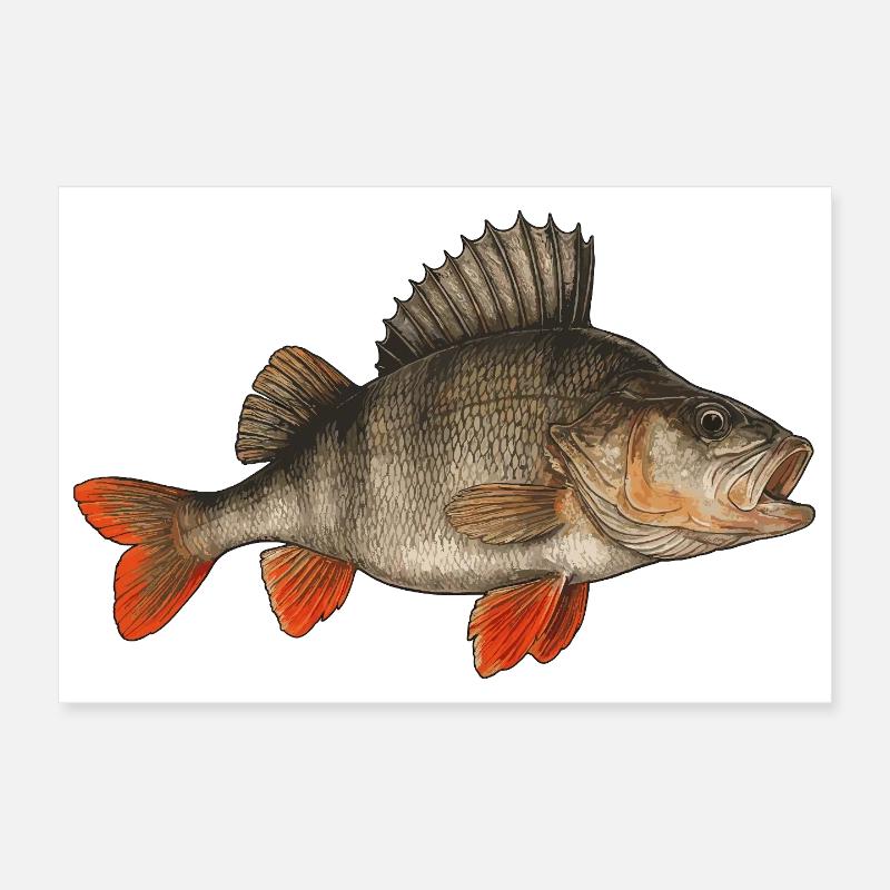Perche Perche Perche Perche Perche Pêche Perche Perche Poster 30 x 20 cm