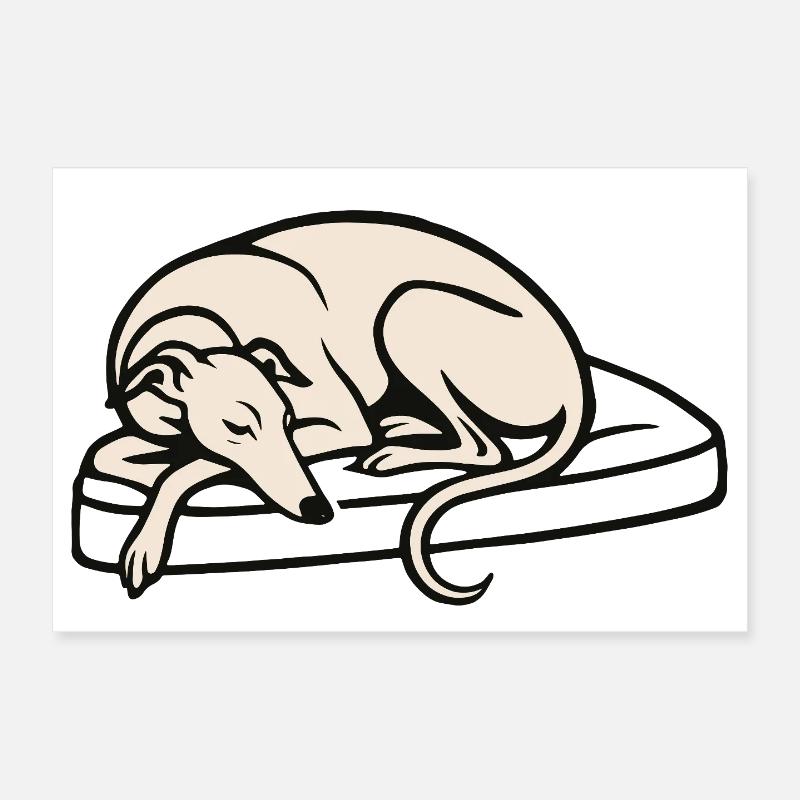 Galgo sleeping - Poster 30x20 cm - Weiß