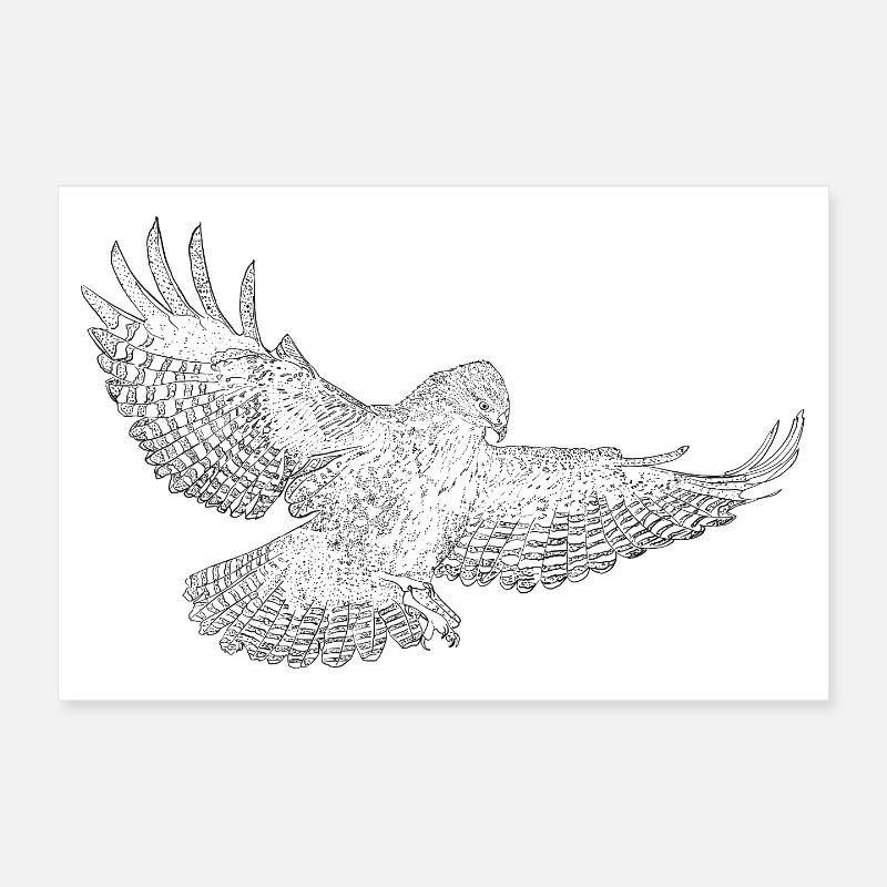 Common buzzard, bird of prey drawn (stylized) Poster 12" x 8" (30x20 cm)