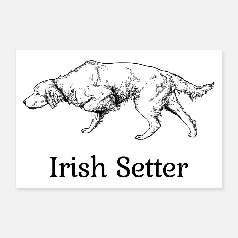 Irish Setter ci-dessus Poster 30 x 20 cm