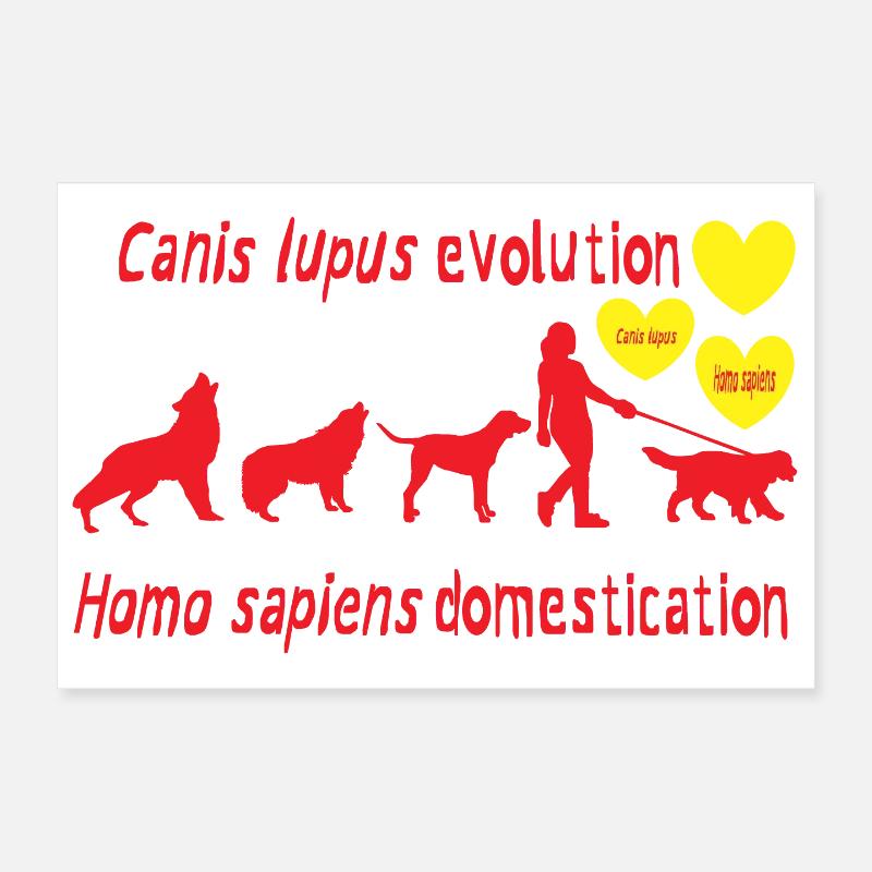 Canis lupus evolution Homo sapiens domestication Poster 12" x 8" (30x20 cm)