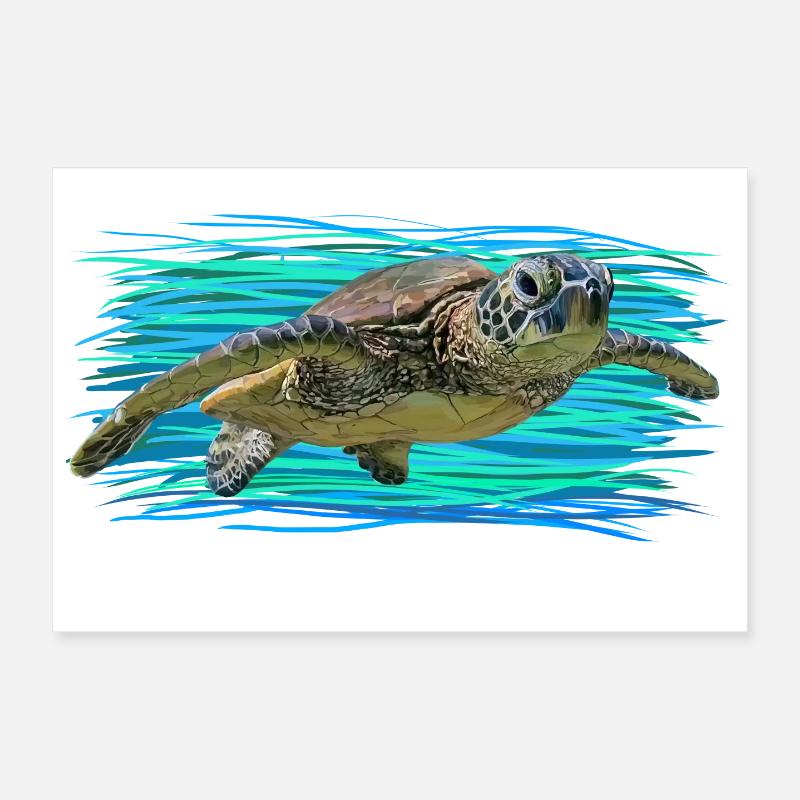 Schildkröte - Poster 30x20 cm - Weiß