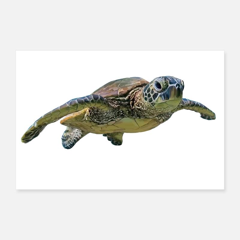 Turtle Poster 12" x 8" (30x20 cm)