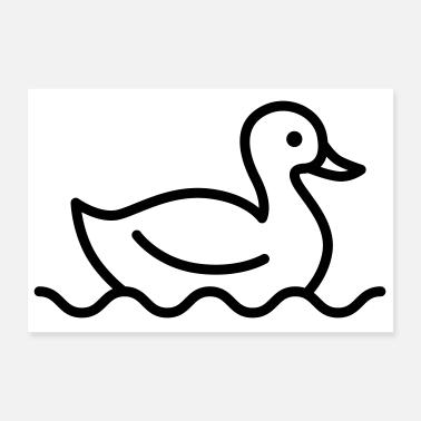 Anatra Poster 30x20 cm