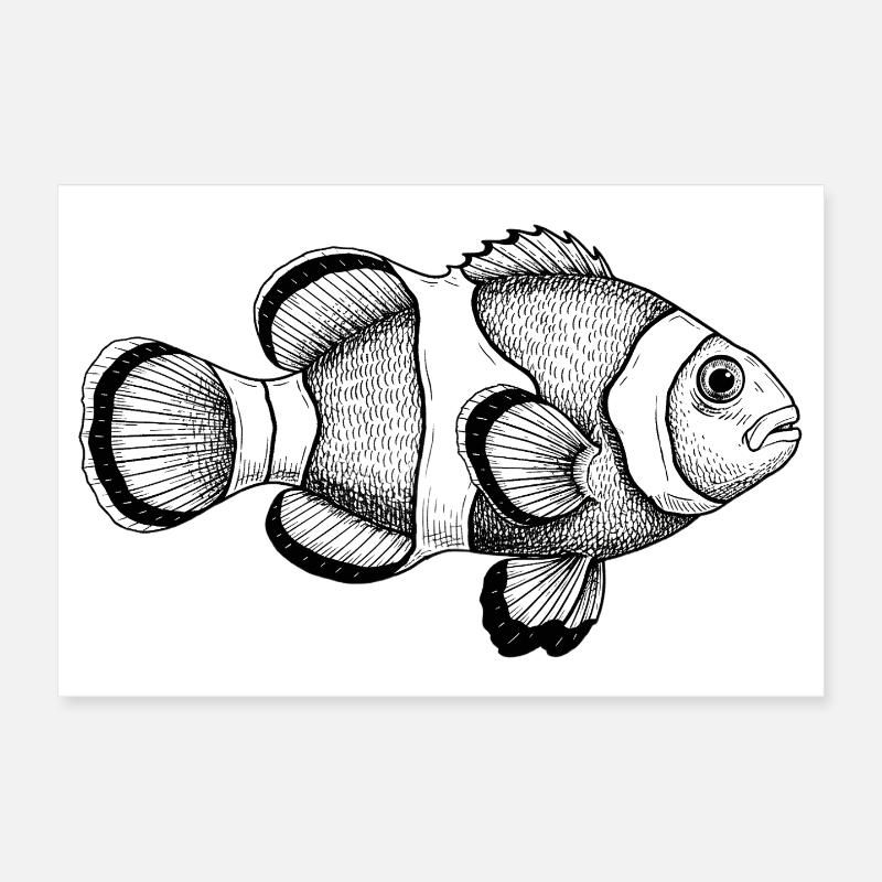 Clownfisch Poster 30x20 cm