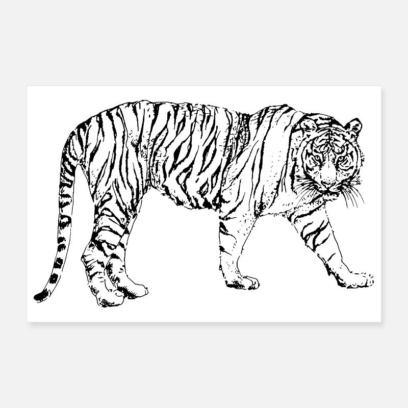TIGER Poster 30x20 cm