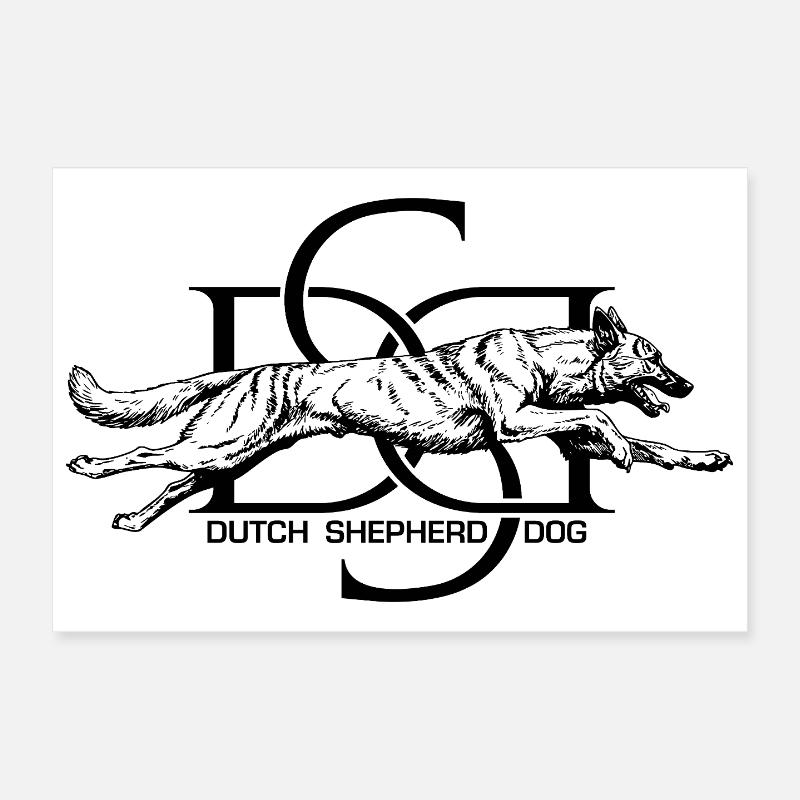 Dutchie - Holländischer Schäferhund Poster 30x20 cm