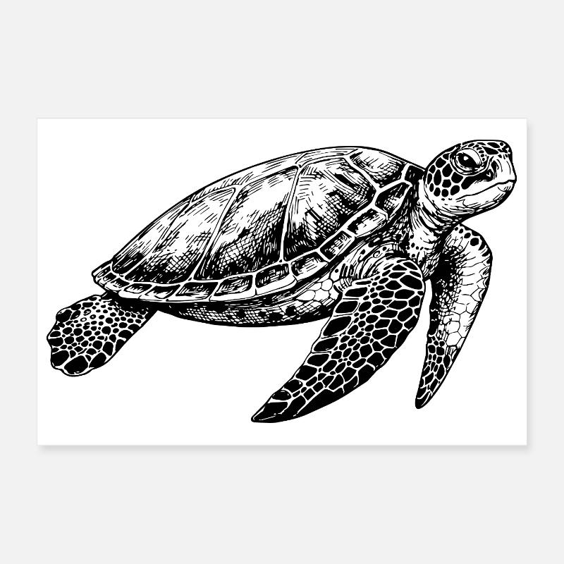 Turtle Poster 12" x 8" (30x20 cm)