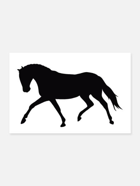 Cheval dressage - Poster 30 x 20 cm - blanc - Devant