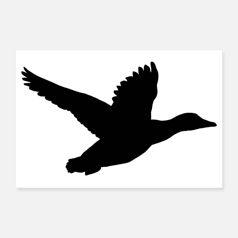 Duck in flight Poster 12" x 8" (30x20 cm)