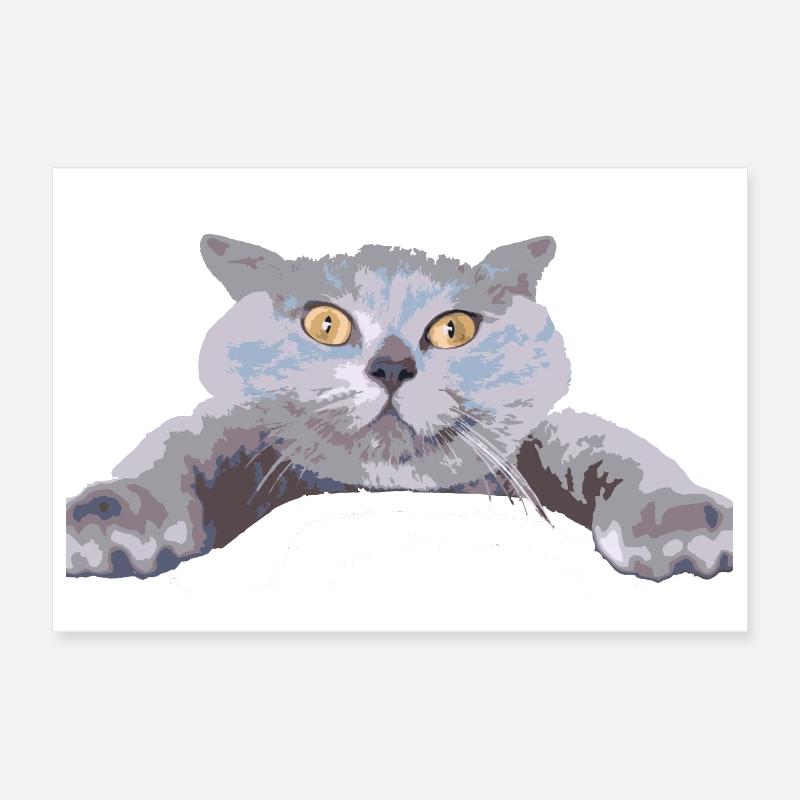 Chat - Poster 30 x 20 cm