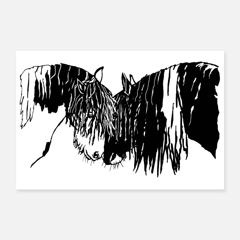 wunderschöne Tinker Reiten Pferde  - Poster 30x20 cm - Weiß