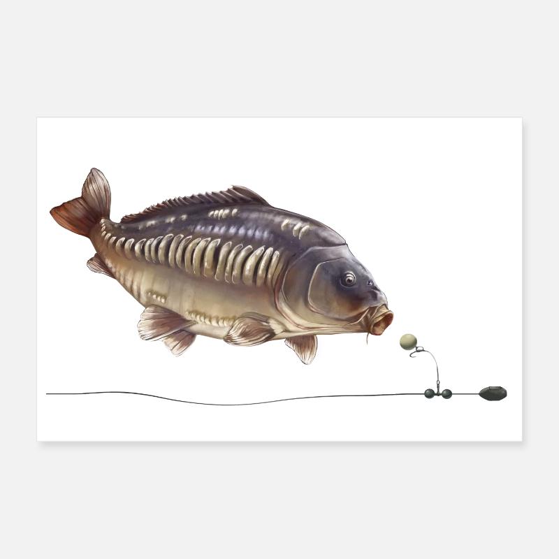 Conception du gréement de pêche Mirror Carp Chod Poster 30 x 20 cm
