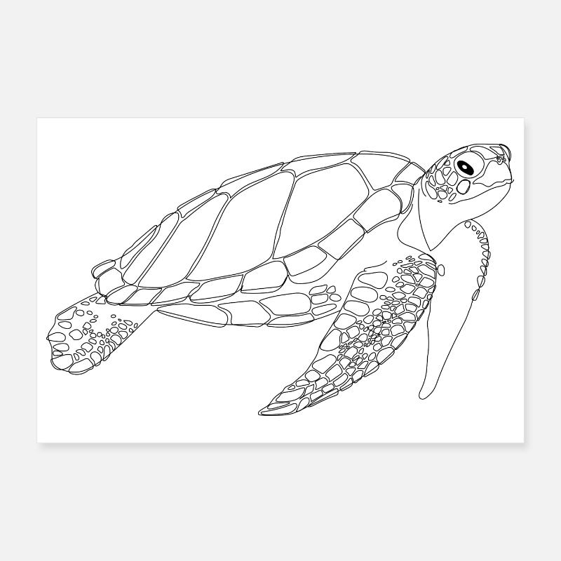 Tortue marine - Poster 30 x 20 cm - blanc