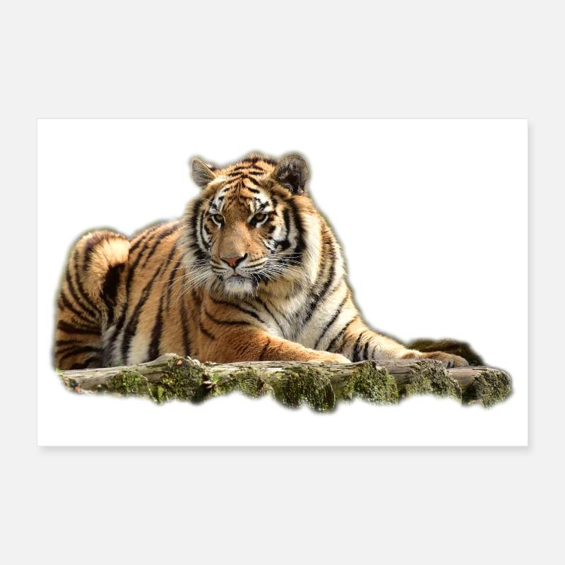 Bengal tiger Poster 12" x 8" (30x20 cm)