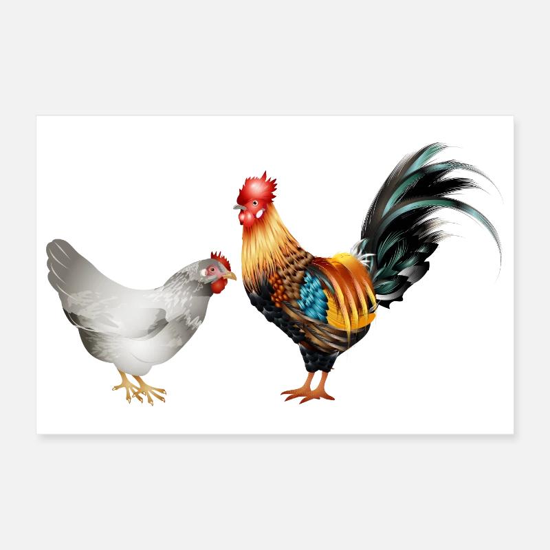 stately colourful rooster with a hen Poster 12" x 8" (30x20 cm)