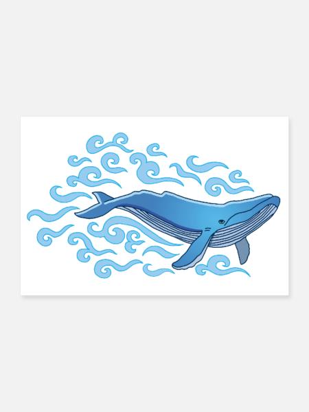 Der Blauwal - Poster 30x20 cm - Weiß - Vorne