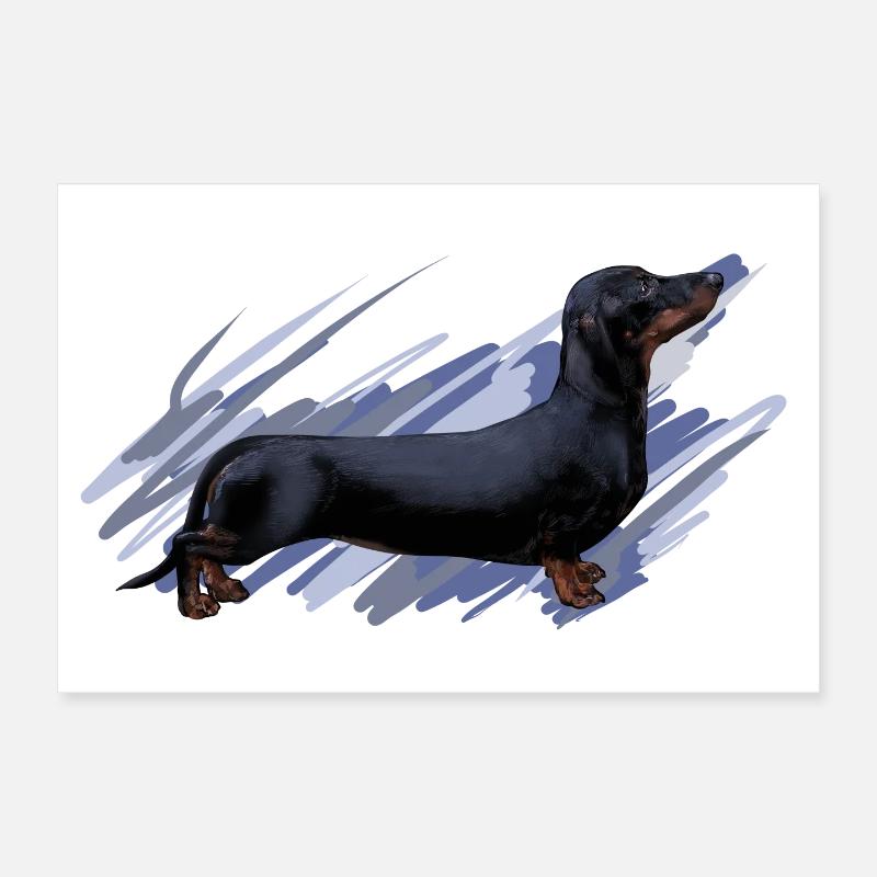Dachshund - Poster 30 x 20 cm - blanc