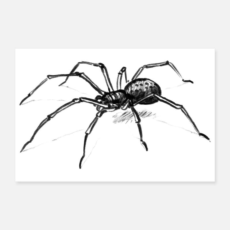 Dunkle Spinne Illustration Tier - lllustration Poster 30x20 cm
