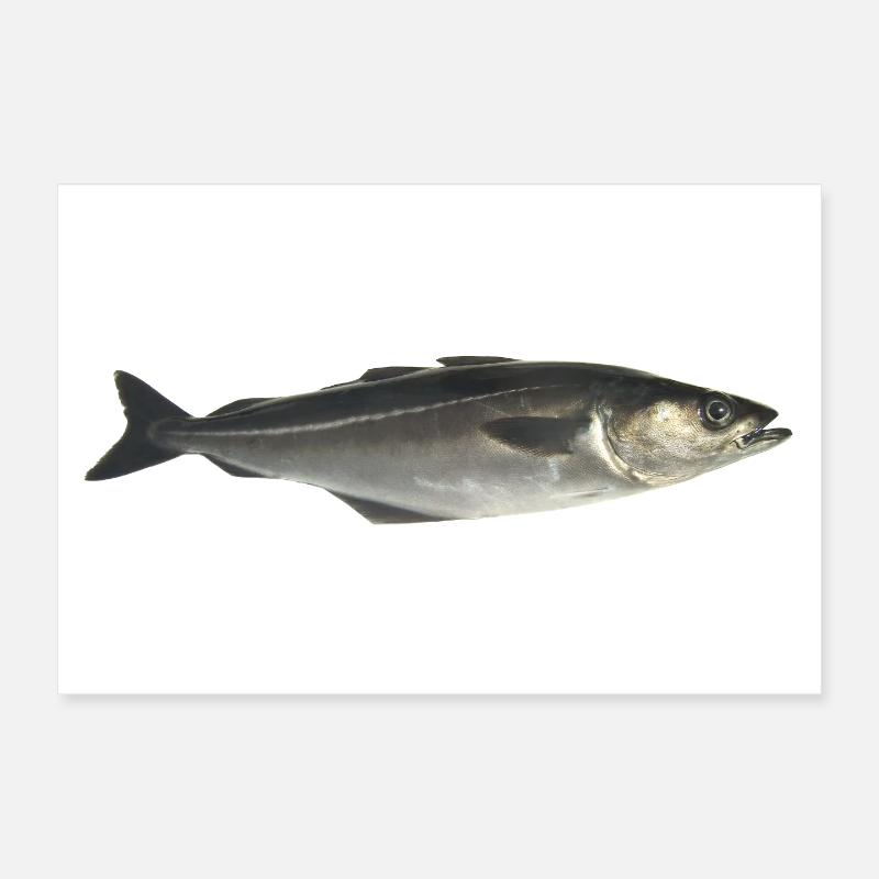poisson - Poster 30 x 20 cm - blanc