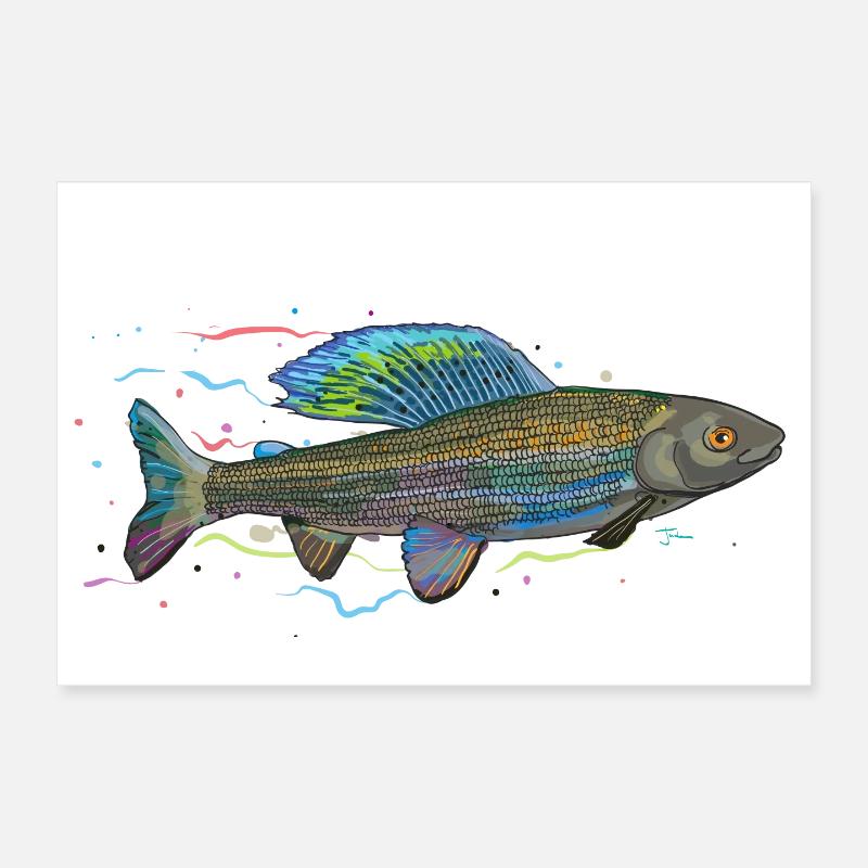Chromatic iridescent fish - grayling Poster 12" x 8" (30x20 cm)