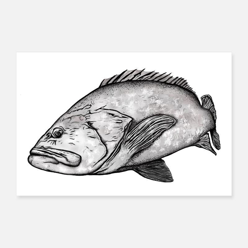 Zackenbarsch Poster 30x20 cm