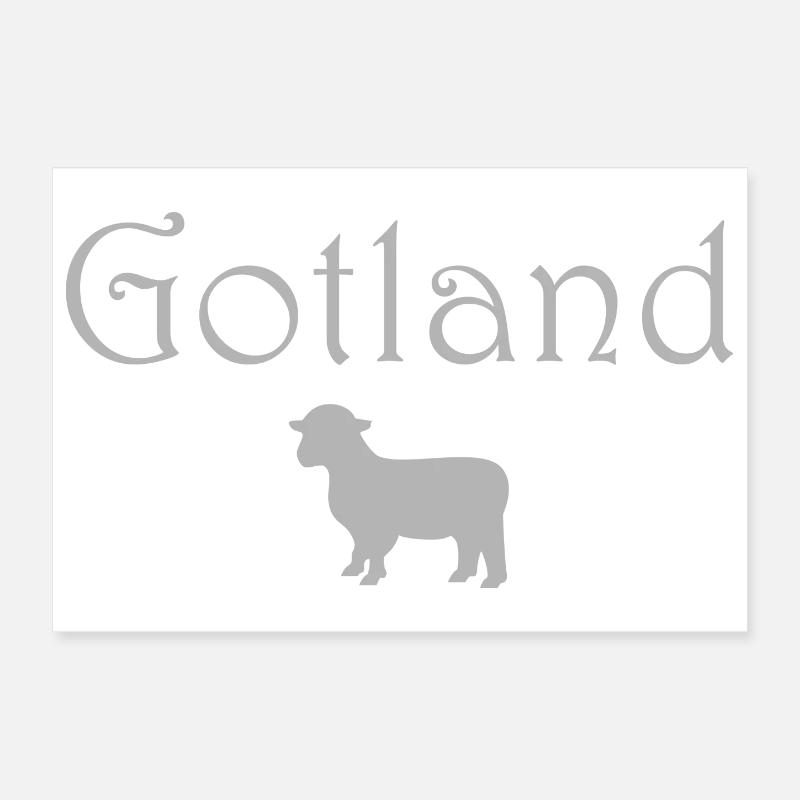 Gotlandschafe Poster 30x20 cm