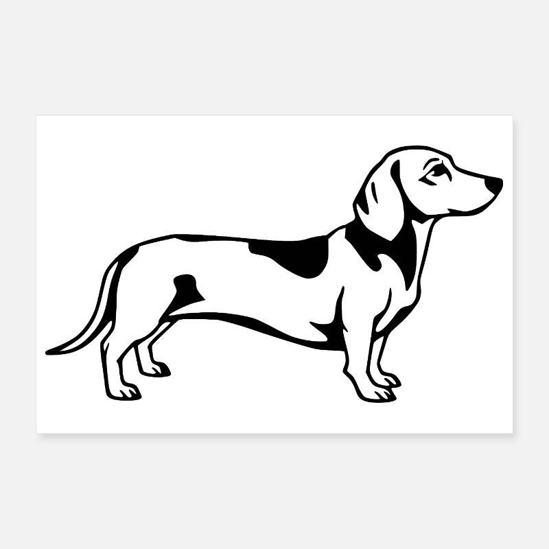 Teckel noir Poster 30 x 20 cm