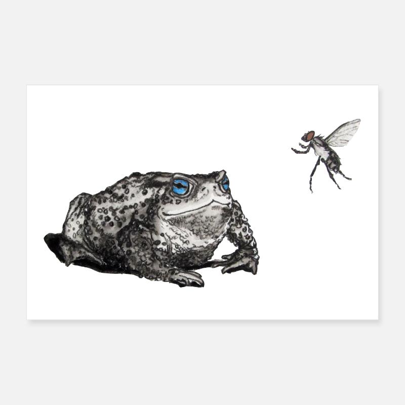 Toad and fly Poster 12" x 8" (30x20 cm)