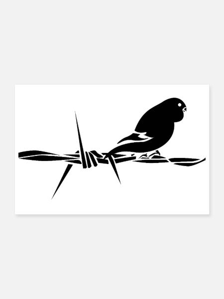 Black Graphic Wellensittich – Schwarzer Vogel - Poster 30x20 cm - Weiß - Vorne