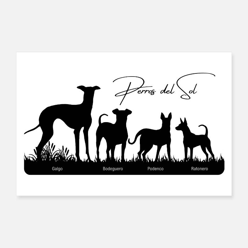 Perros del Sol 4 perros Poster 30x20 cm