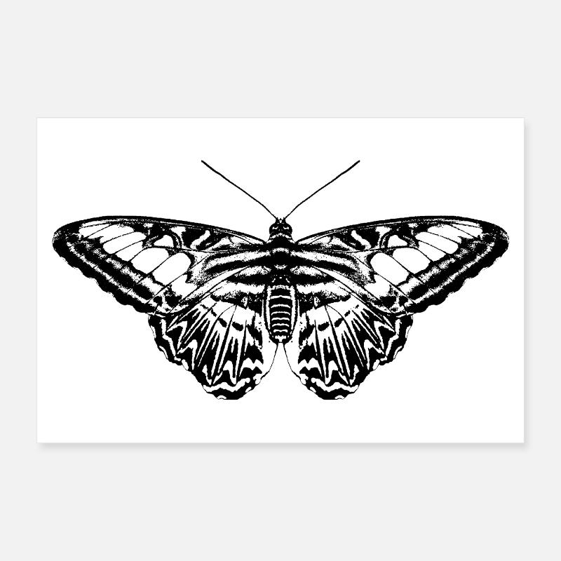 Schmetterling / Papillon Poster 30 x 20 cm