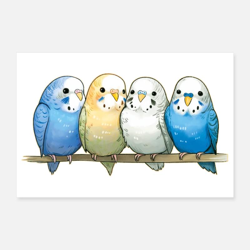 Budgies Poster 12" x 8" (30x20 cm)
