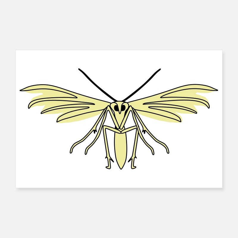 Teigne des plumes Poster 30 x 20 cm