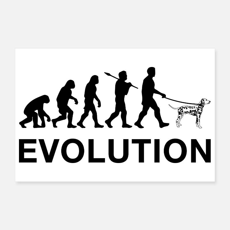 Evolution - Poster 12" x 8" (30x20 cm) - white