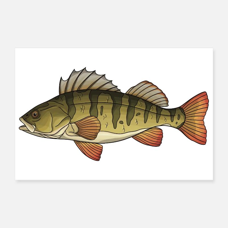 Conception de la pêche au poisson prédateur perchaud Poster 30 x 20 cm