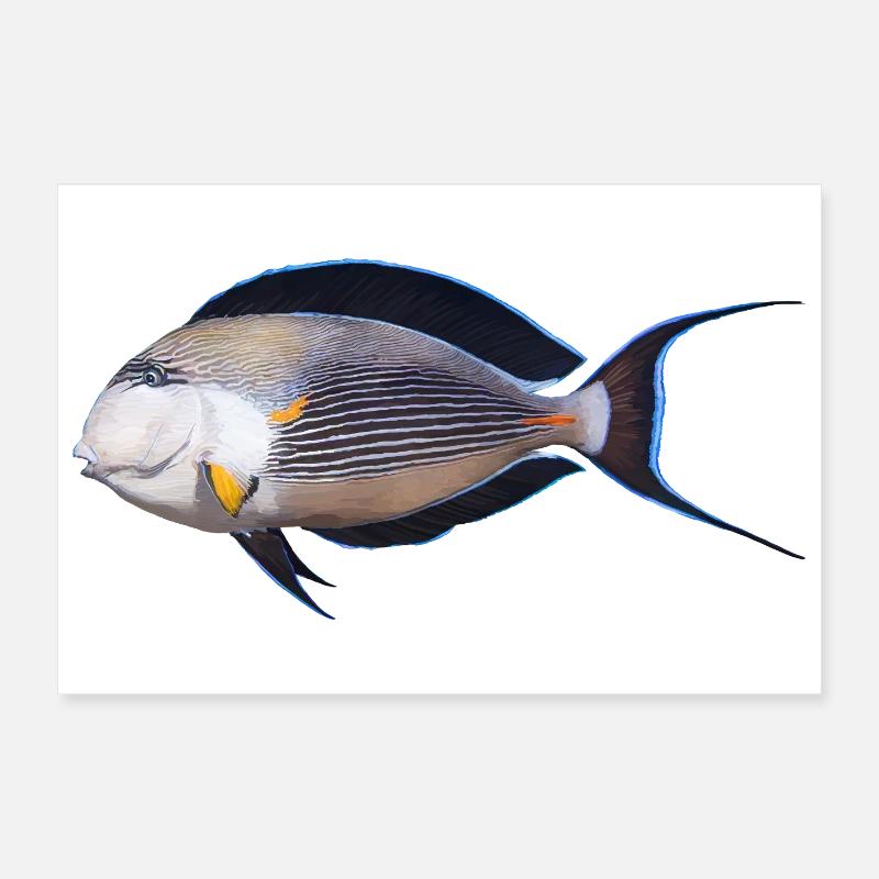 Fish Poster 12" x 8" (30x20 cm)