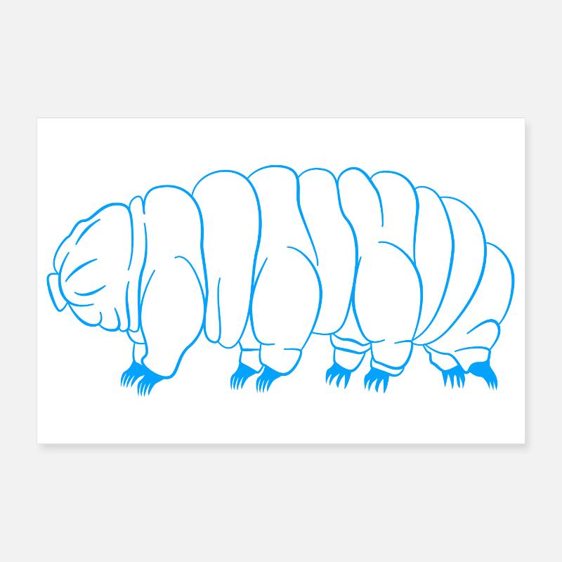 Tardigrade Ours d’eau tardigrade Tardigrade Poster 30 x 20 cm