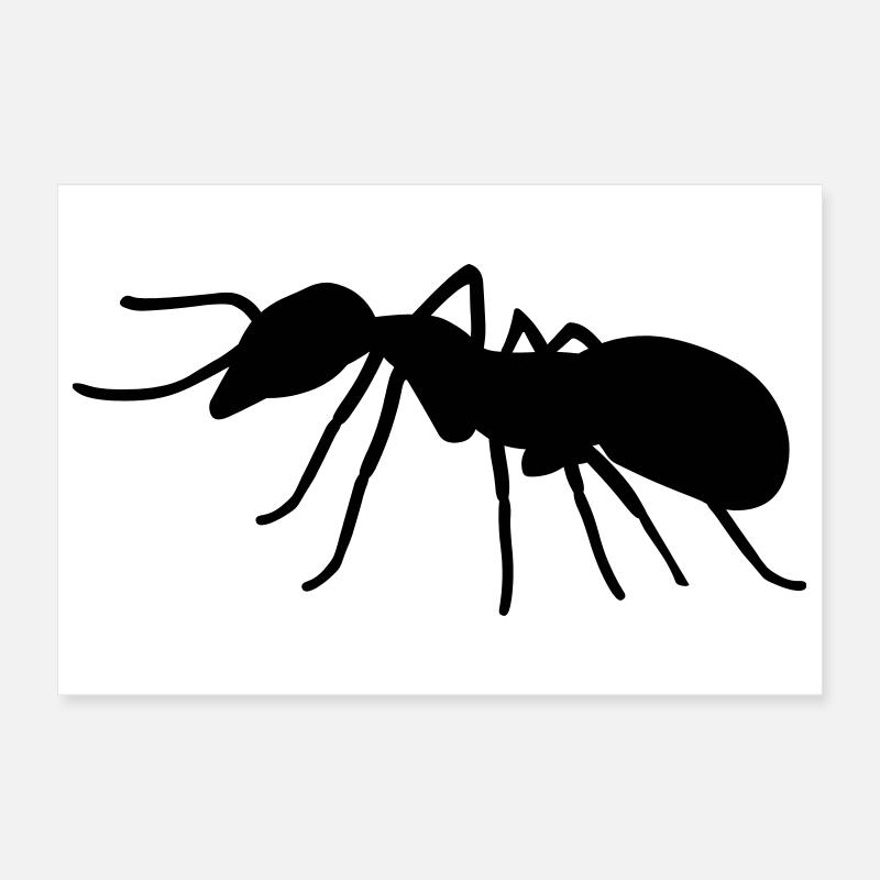 Ant Poster 12" x 8" (30x20 cm)