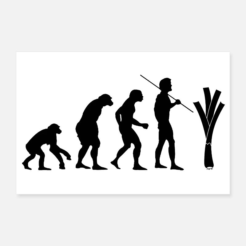 évolution du poireau Poster 30 x 20 cm