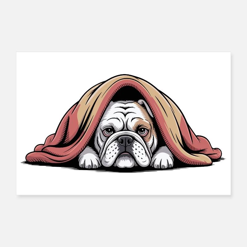 Bouledogue douillet sous couverture Poster 30 x 20 cm