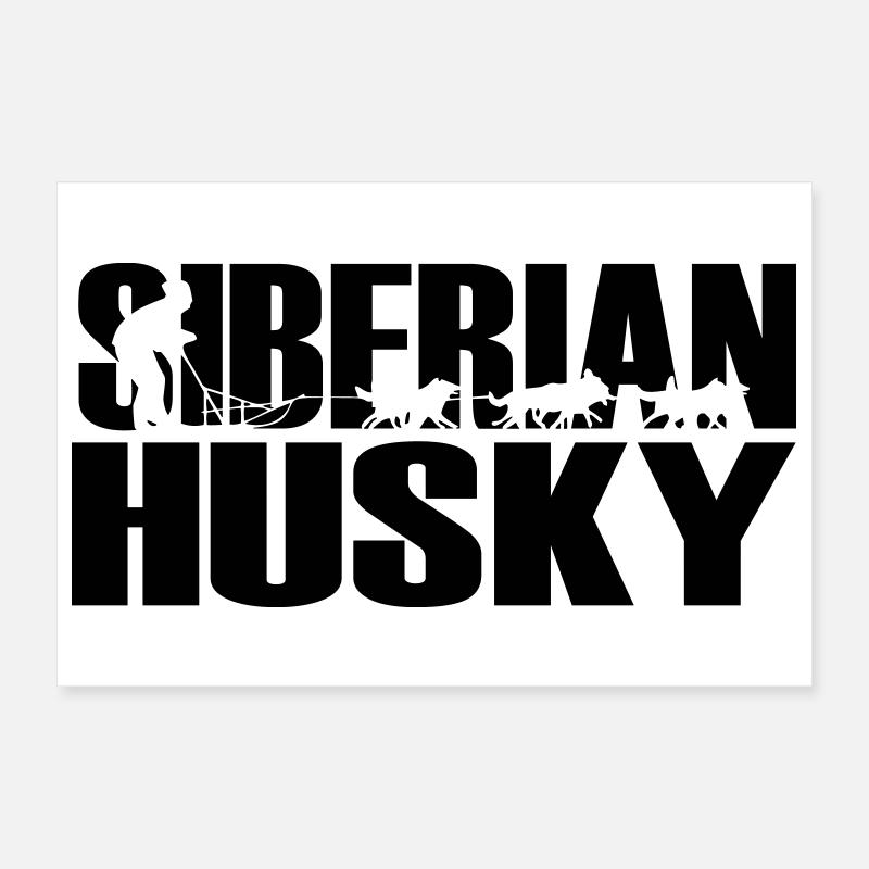Huskies Husky Sibérien Poster 30 x 20 cm