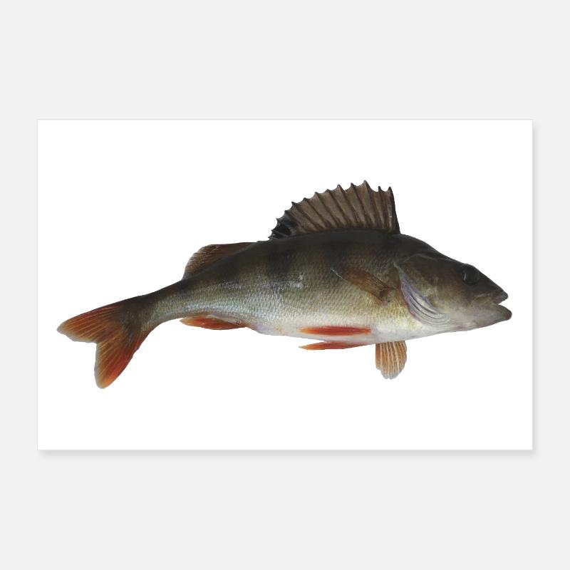 Perch Poster 12" x 8" (30x20 cm)