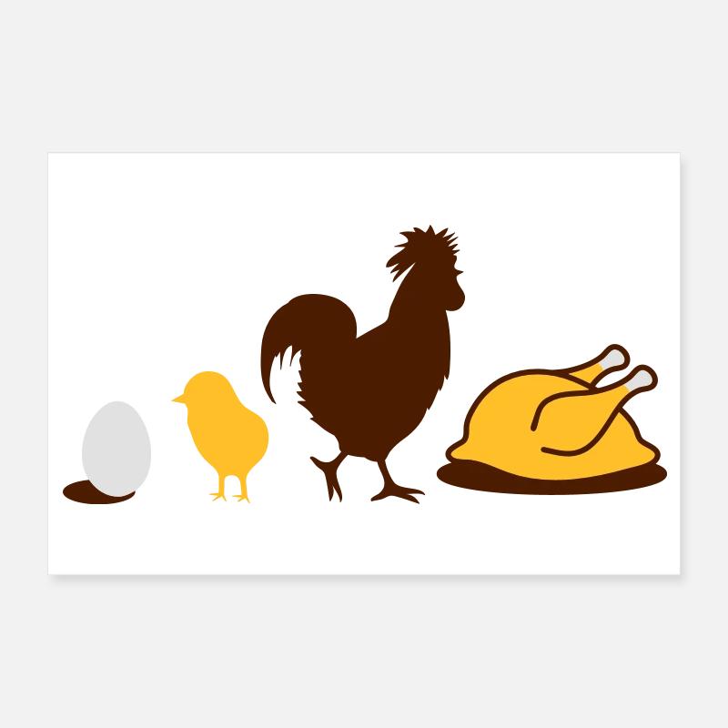 un oeuf, un poulet, un coq et une poule Evolution Poster 30 x 20 cm