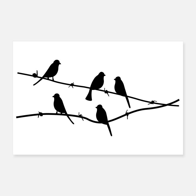 oiseaux Poster 30 x 20 cm