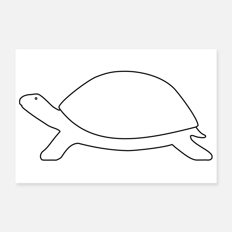 Schildkröte  Poster 30x20 cm