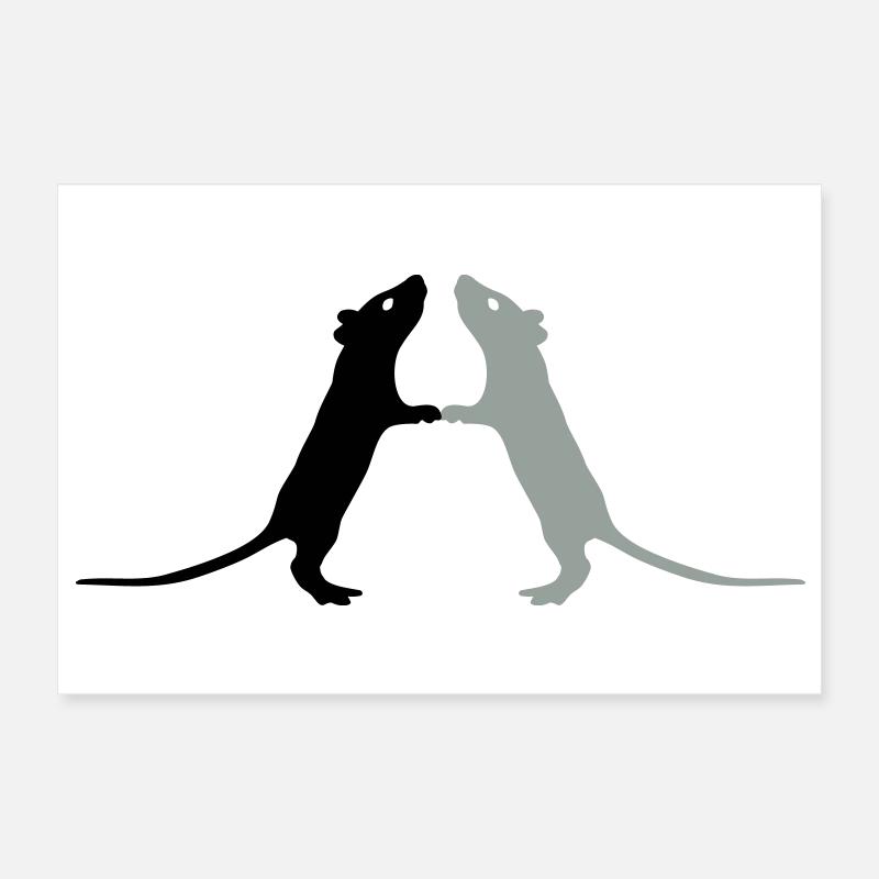 Ratten Poster 30x20 cm