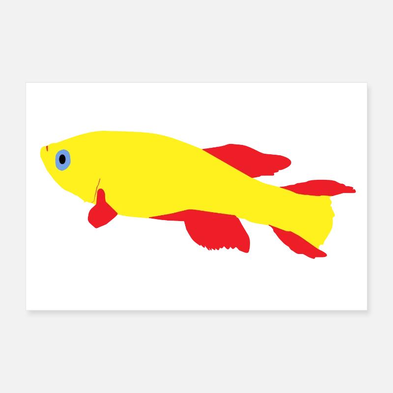 Killifish Red and Yellow Poster 12" x 8" (30x20 cm)